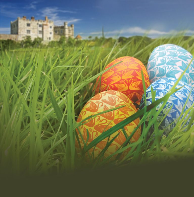 162873535 10157971091417897 4222240593810982641 o 768x780