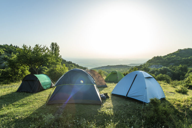 Many tents in the mountain. Sunshine morning in the forest.