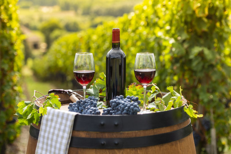 Pouring red wine into the glass, Barrel outdoor in Bordeaux Vineyard