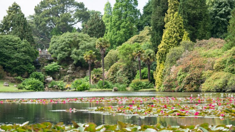 187928810 1851065331720087 3941071045883396204 n 768x432