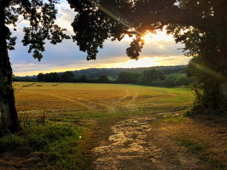 deers leap image 02 768x576