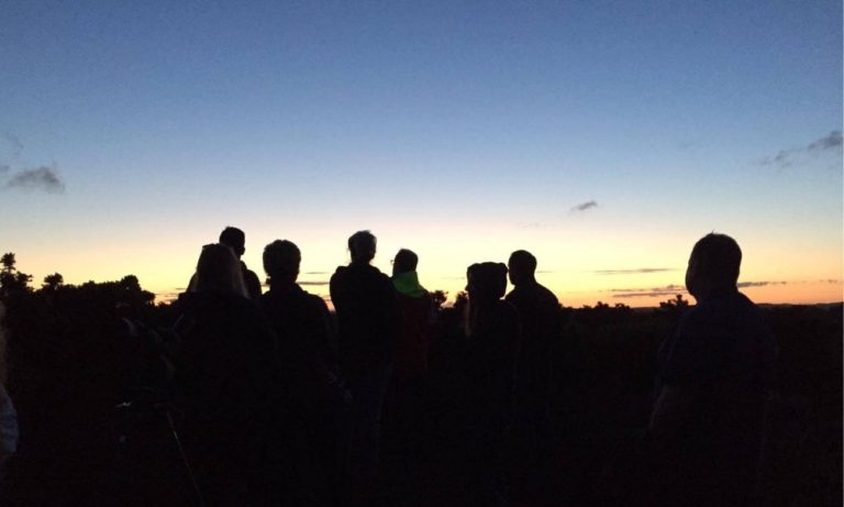 team nightjar walk with birds of poole harbour 768x461