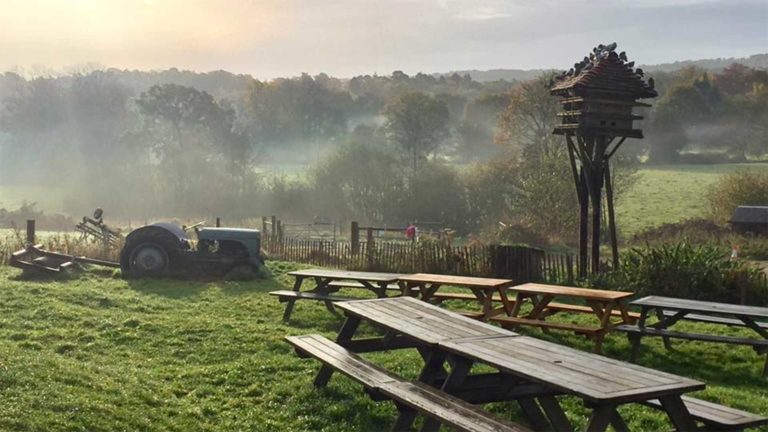 a little bit about tablehurst farm forest row 768x432