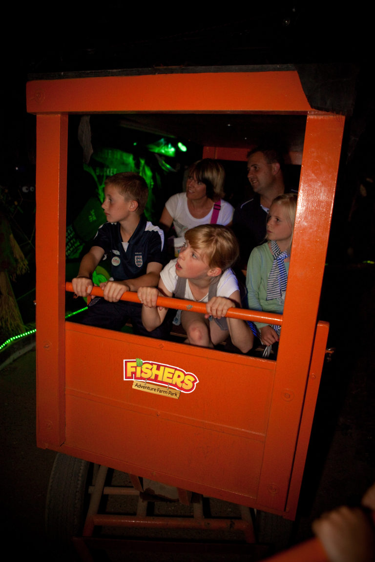 Fishers Farm Ghost Train 2010 David Baird 9 2 768x1152