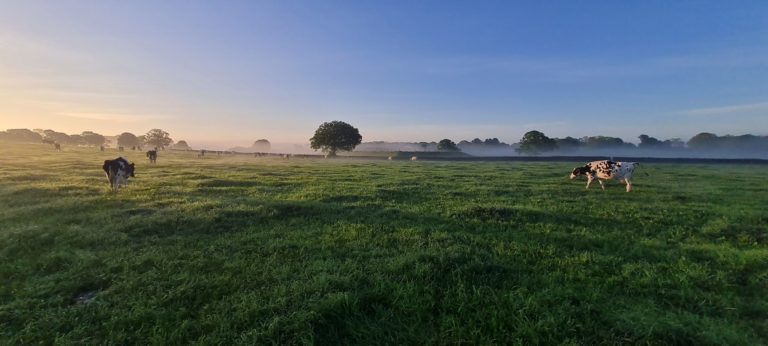 Sunrise over the farm 1 3 scaled 1 768x346