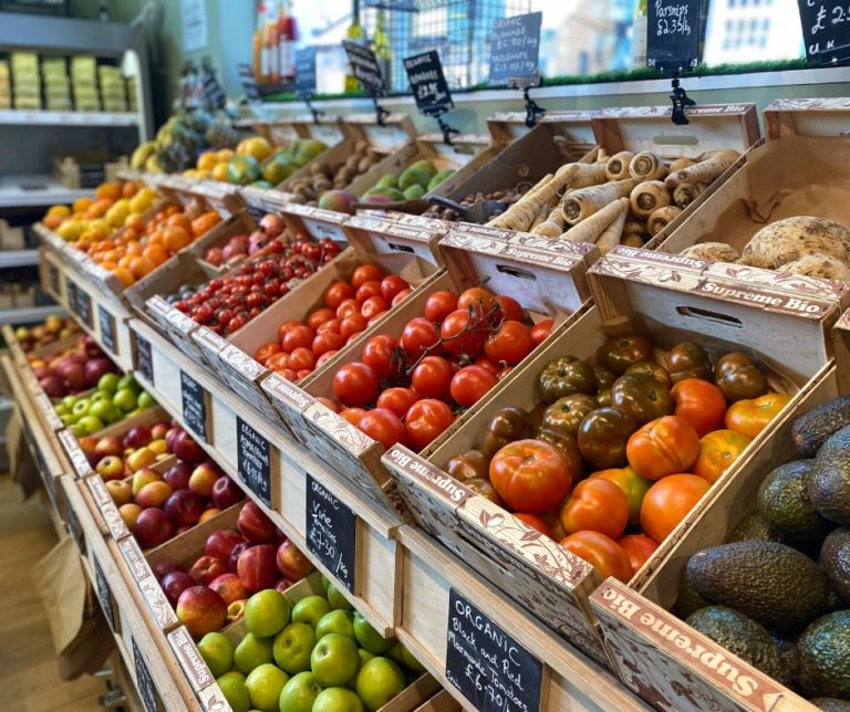 the seasons forest row 768x644