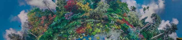 planet wakehurst the best of east grinstead 768x171