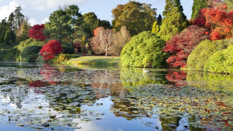 Sheffield Park Garden East Sussex 768x432