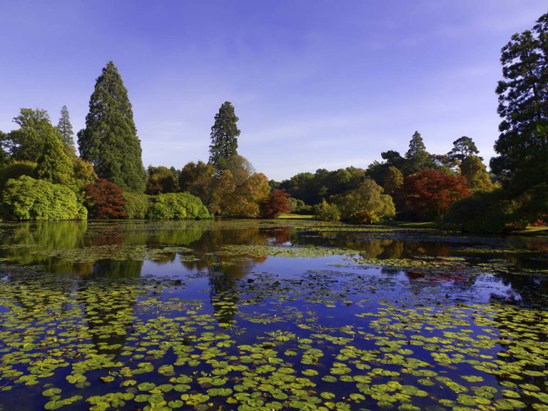 iSheffield Park Stock 177287549 1200x 900jpg 768x576