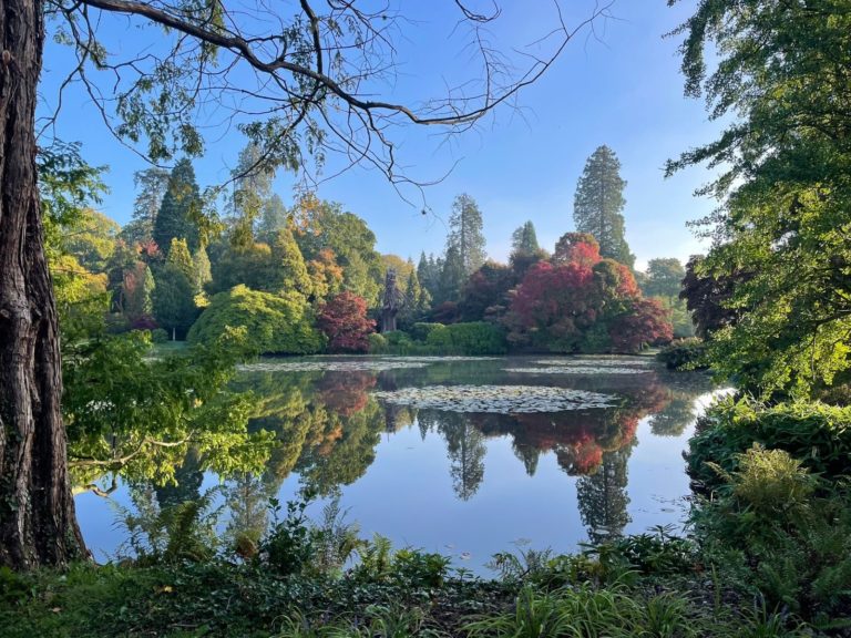 autumn morning 3 nick 6 768x576